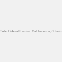 CytoSelect 24-well Laminin Cell Invasion, Colorimetric